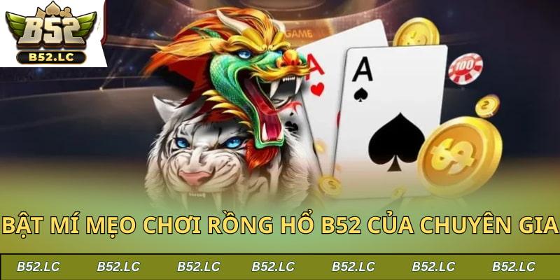Kinh nghiệm cược Rồng Hổ của chuyên gia B52Club