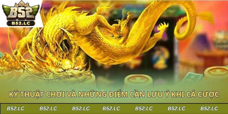 Kỹ thuật chơi và những điểm cần lưu ý khi cá cược